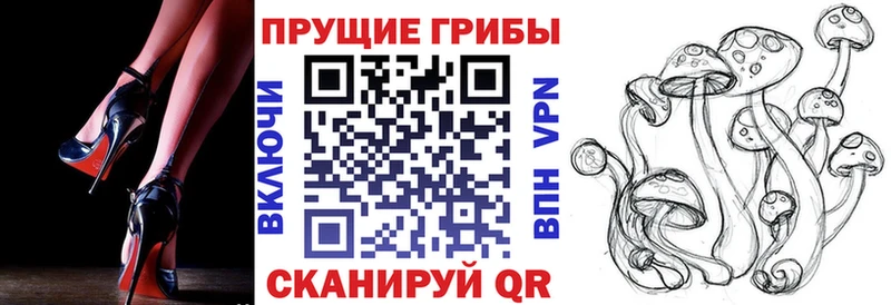Купить закладки  Кремёнки  Псилоцибиновые грибы прущие грибы 